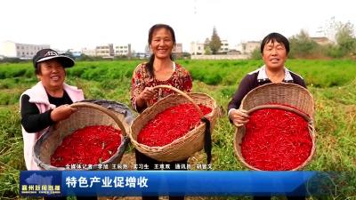 特色产业促增收