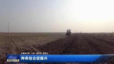种养结合促振兴