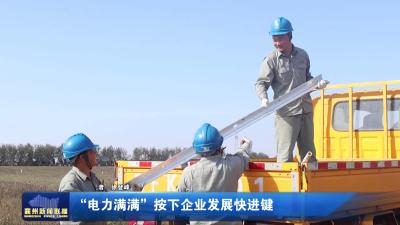 “电力满满”按下企业发展快进键