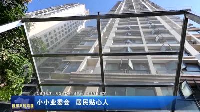 小小业委会  居民贴心人