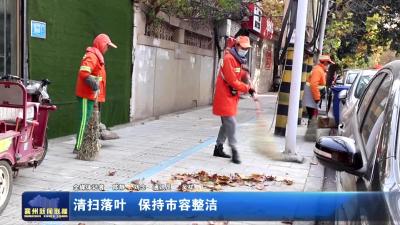 清扫落叶 保持市容整洁