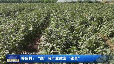 乔庄村：“蔬”写产业致富“钱景”