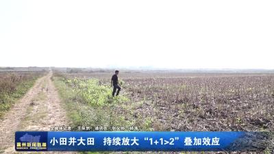 小田并大田  持续放大“1+1>2”叠加效应