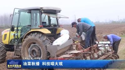 油菜秋播  科技唱大戏