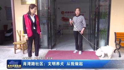 肖湾路社区:文明养犬 从我做起