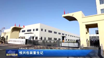 悦兴包装重生记