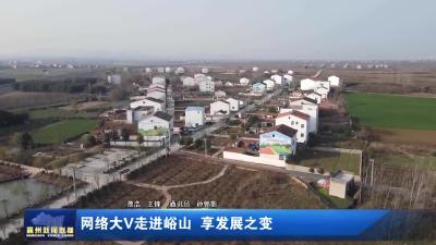 网络大V走进峪山  享发展之变