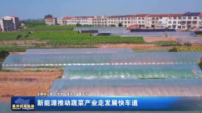 新能源推动蔬菜产业走发展快车道
