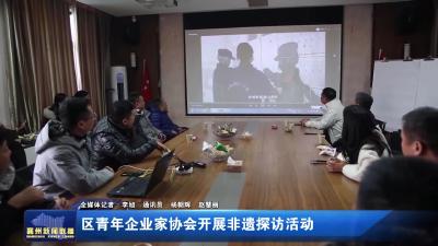 区青年企业家协会开展非遗探访活动