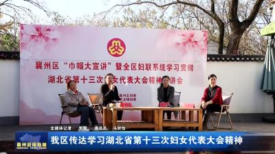 我区传达学习湖北省第十三次妇女代表大会精神