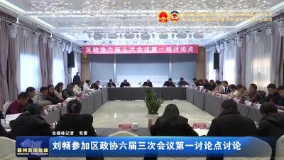 刘畅参加区政协六届三次会议第一组讨论点讨论