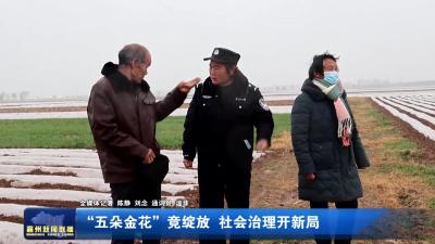 “五朵金花”竞绽放  社会治理开新局