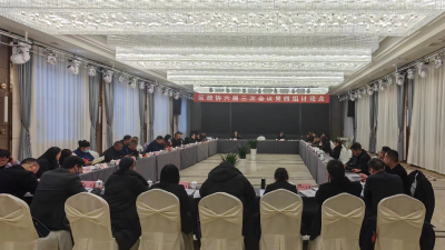 【聚焦两会】刘畅参加区政协六届三次会议第一组讨论点讨论