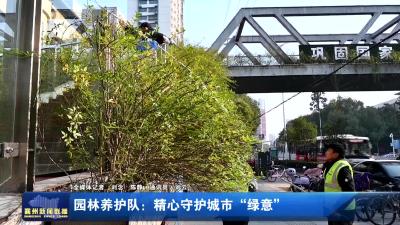 园林养护队：精心守护城市“绿意”