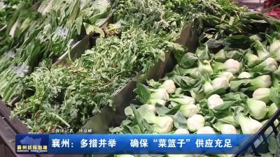 襄州:多措并举确保“菜篮子”供应充足