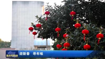 迎新春  寻年味