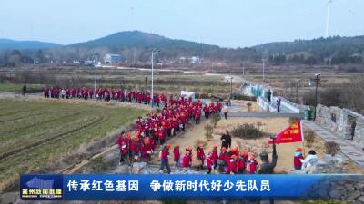 传承红色基因  争做新时代好少年队员