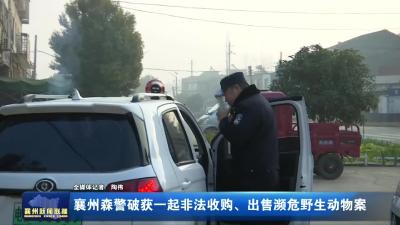 襄州森警破获一起非法收购、出售濒危野生动物案