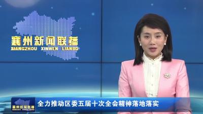 全力推动区委五届十次全会精神落地落实