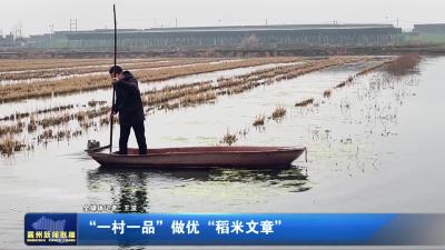 “一村一品”做优“稻米文章