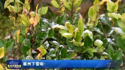 襄州下雪啦!