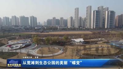 从荒滩到生态公园的美丽“蝶变”