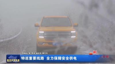 特巡重要线路 全力保障安全供电
