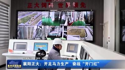 襄阳正大：开足马力生产 奋战“开门红”