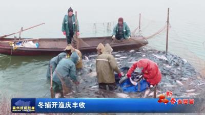 冬捕开渔庆丰收