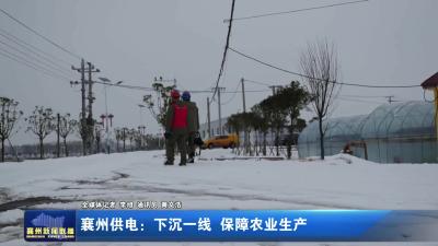 供电部门下沉一线 全力保障农业生产