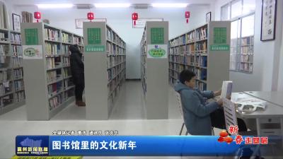 图书馆里的文化新年
