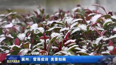 襄州：雪落成诗  美景如画