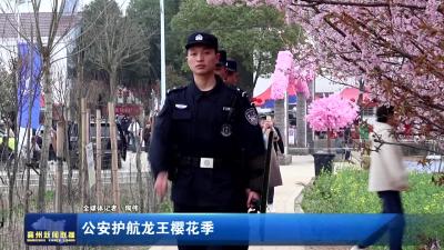 公安护航龙王樱花季