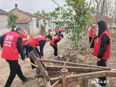 龙王财政所开展义务植树活动