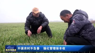 不误农时不负春  强化管理保丰收