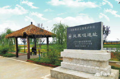 “花”点时间游襄州 | 这个妇女节，快来收好襄州春季赏花攻略吧！
