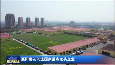 襄阳鲁花入选国家重点龙头企业
