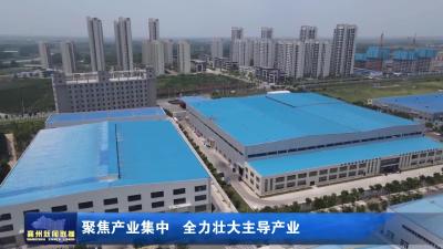 聚焦产业集中  全力壮大主导产业