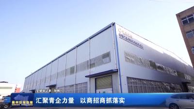 汇聚青企力量 以商招商抓落实