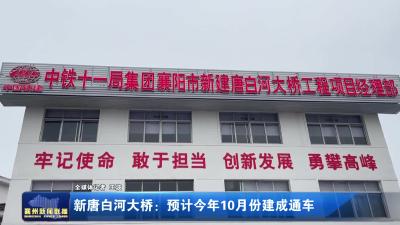 新唐白河大桥:预计今年10月份建成通车
