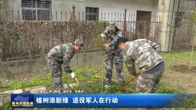 植树添新绿  退役军人在行动