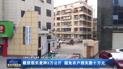 截获假劣麦种3万公斤  避免农户损失数十万元