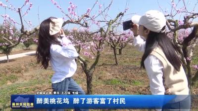 醉美桃花坞 醉了游客富了村民