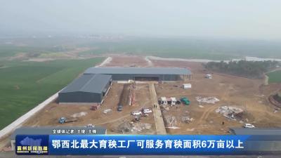 鄂西北最大育秧工厂可服务育秧面积6万亩以上