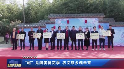 见醉美桃花季 农文旅乡创未来“峪”
