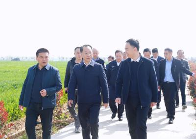 全省春季农业生产暨农机化工作会议将在我市举行 主办地设在襄州区
