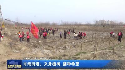 肖湾街道:义务植树 播种希望