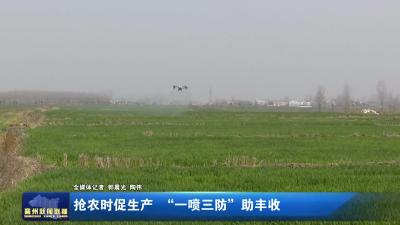 抢农时促生产 “一喷三防”助丰收