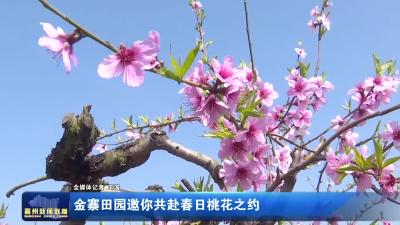 金寨田园邀你共赴春日桃花之约