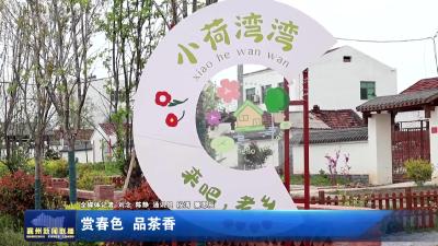 赏春色  品茶香